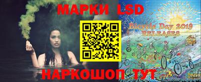 индика Кулебаки