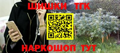 индика Кулебаки