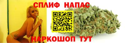 гашик Волжский