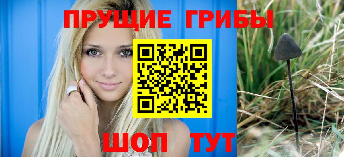 Псилоцибиновые грибы мицелий  Галлюциногенные грибы MAGIC MUSHROOMS  где найти наркотики  Азов 