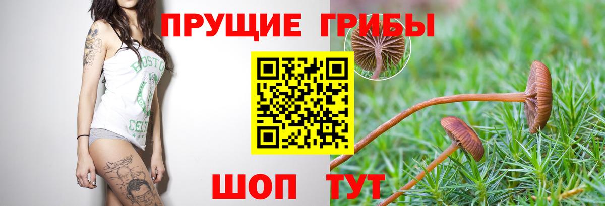 Псилоцибиновые грибы MAGIC MUSHROOMS Азов
